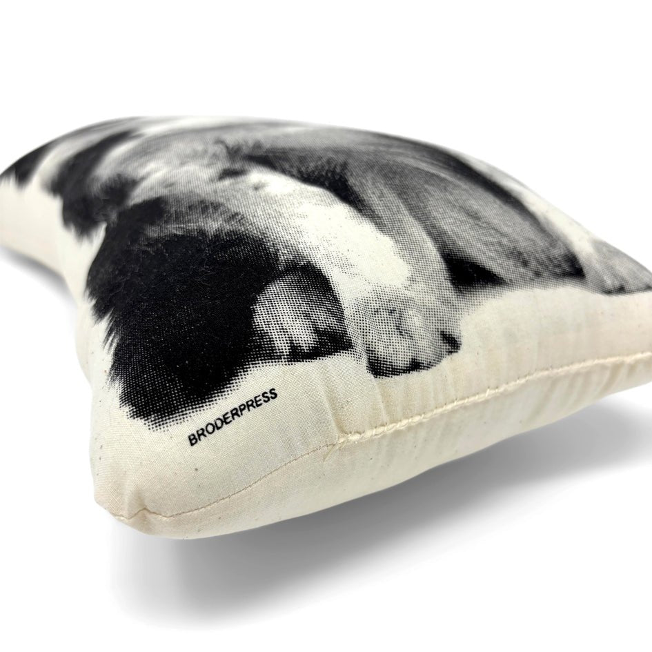 Border Collie Hond Sierkussen - Broderpress - SuperMatique