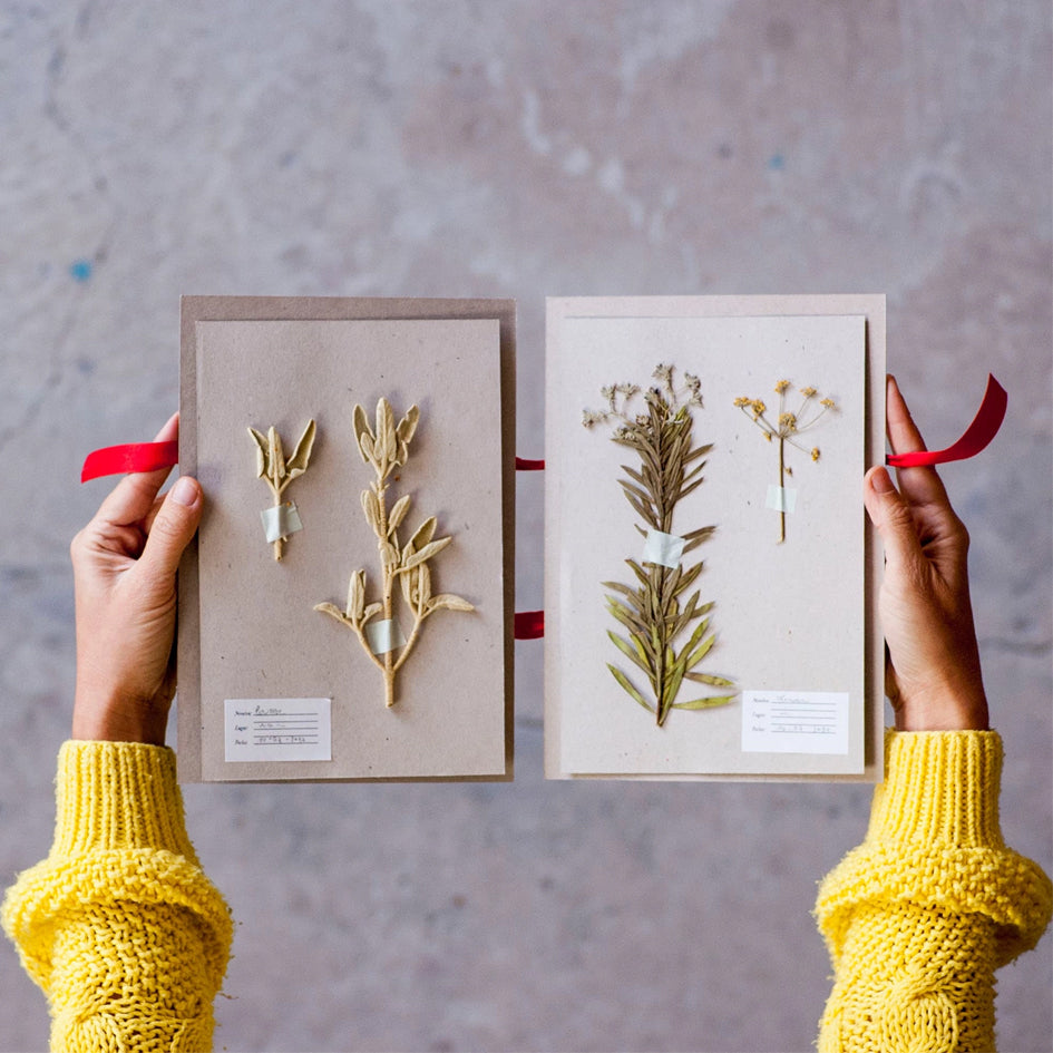 Afbeelding van bloemenpersset met herbarium bookje Fábrica de Texturas - SuperMatique
