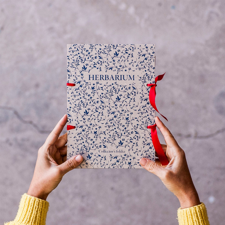 Afbeelding van bloemenpersset met herbarium bookje Fábrica de Texturas - SuperMatique