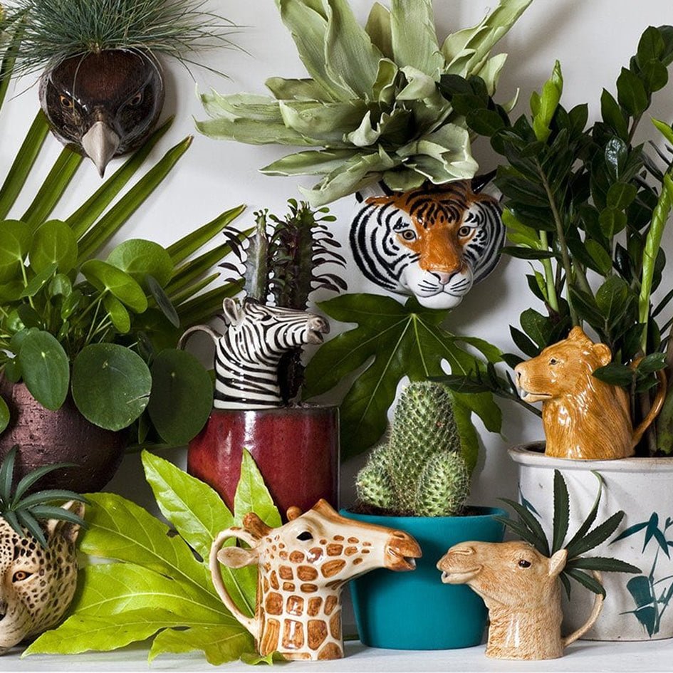 Leeuw Karaf Groot - Quail Ceramics - SuperMatique