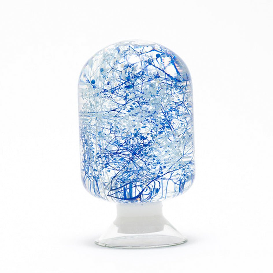 'Pieces Of Time' Herbarium / Presse - Papier 'Blue Wave' - Style Jieum - SuperMatique