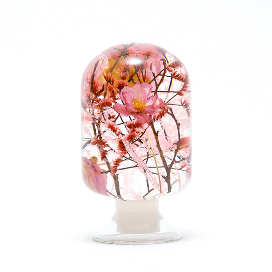 'Pieces Of Time' Herbarium / Presse - Papier 'Cherry Blossom' - Style Jieum - SuperMatique