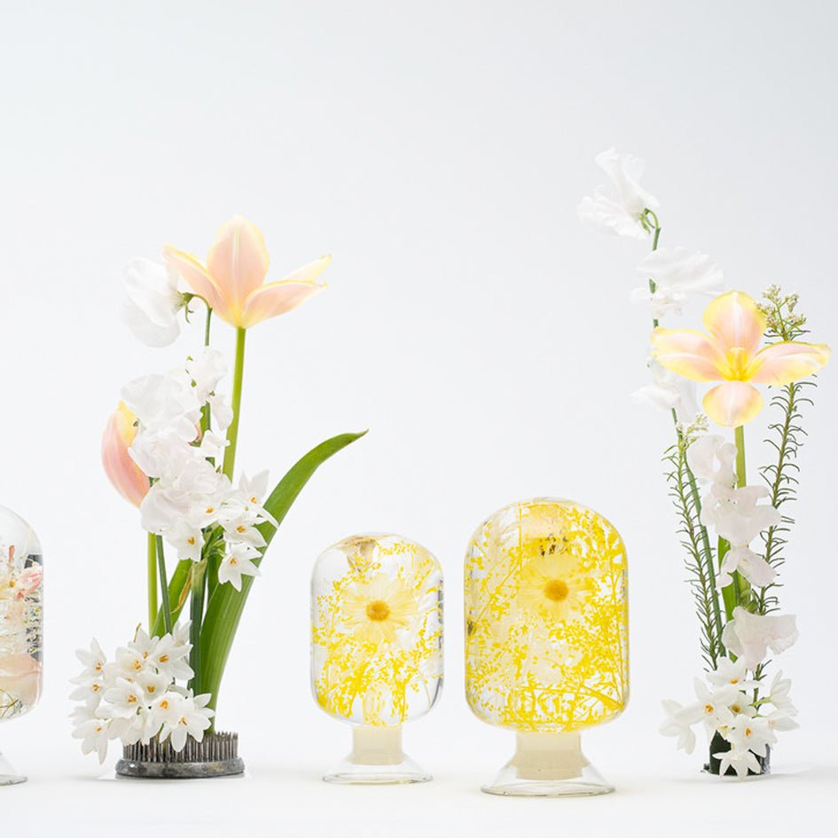 'Pieces Of Time' Herbarium / Presse - Papier 'Spring Blossom' - Style Jieum - SuperMatique