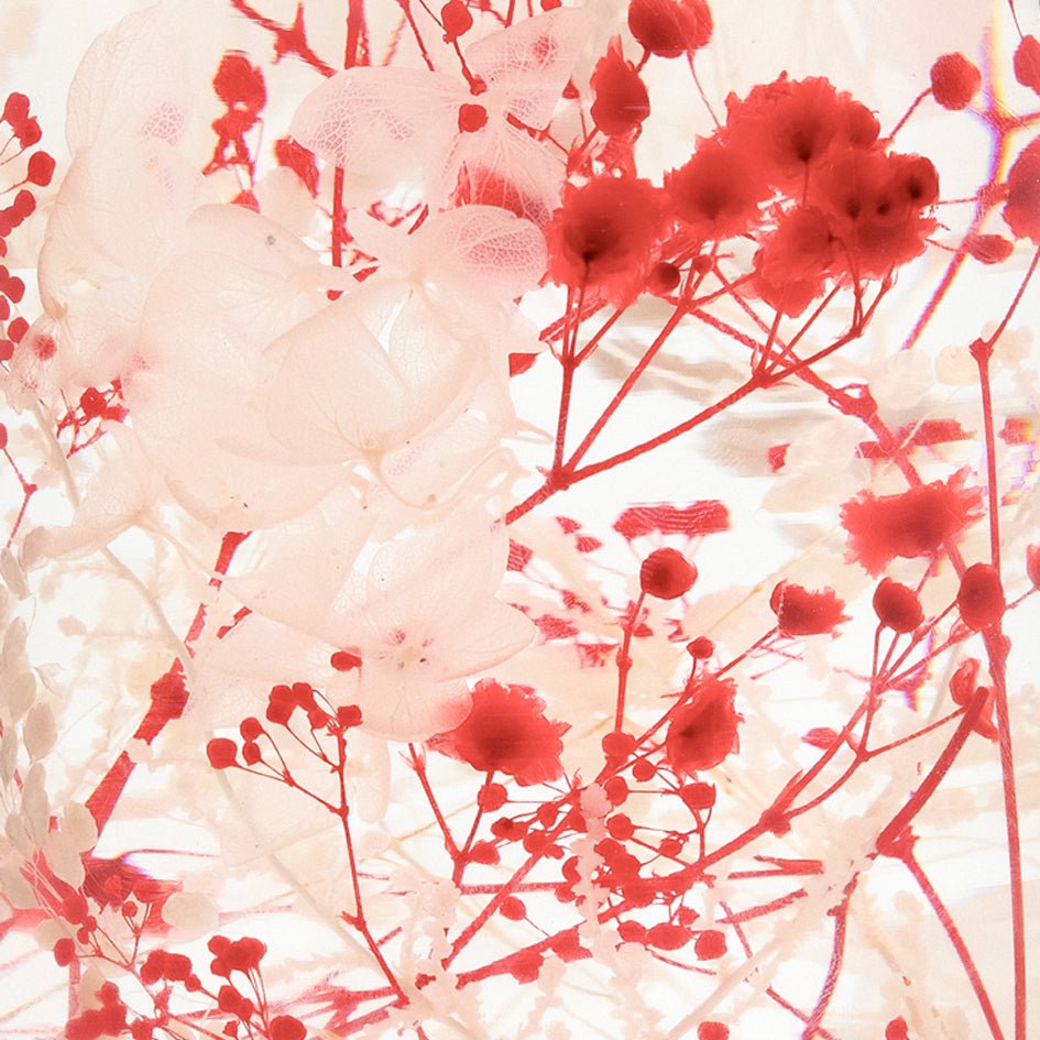 'Pieces Of Time' Herbarium / Presse - Papier 'Wild Bloom' - Style Jieum - SuperMatique
