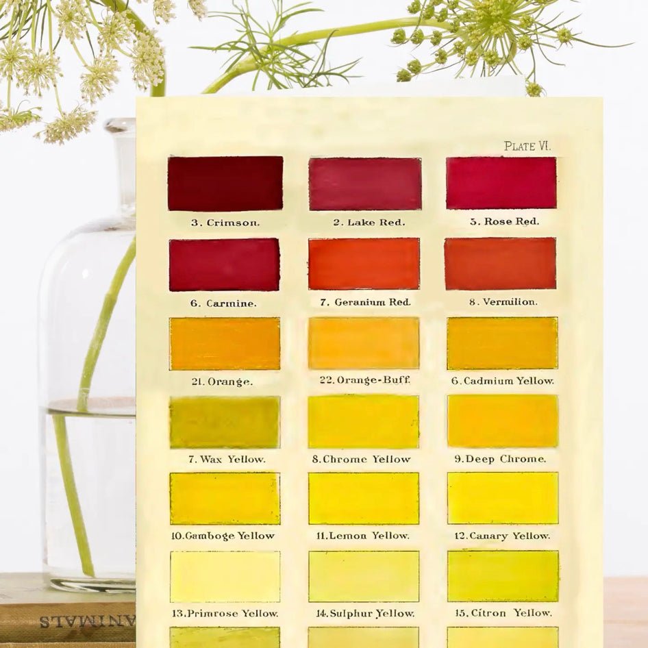 Wenskaart 'Colour Chart No:2' - Madame Treacle - SuperMatique