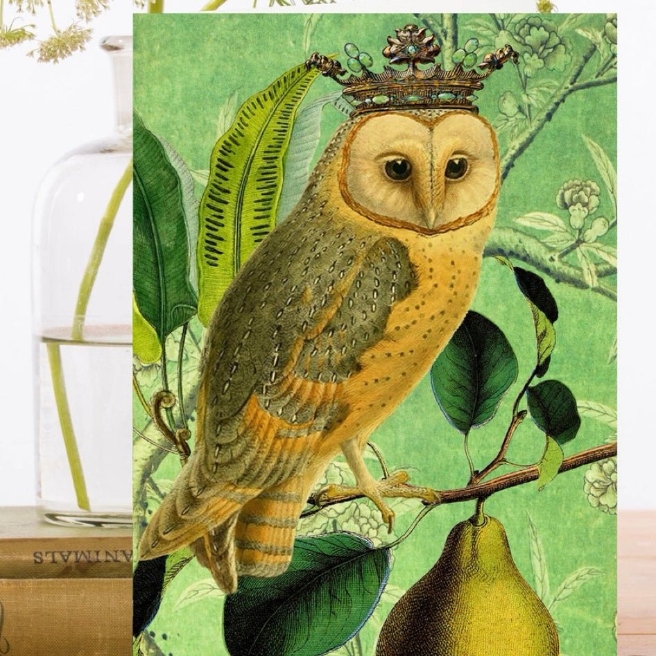 Wenskaart 'The Owl & the Pear' - Madame Treacle - SuperMatique