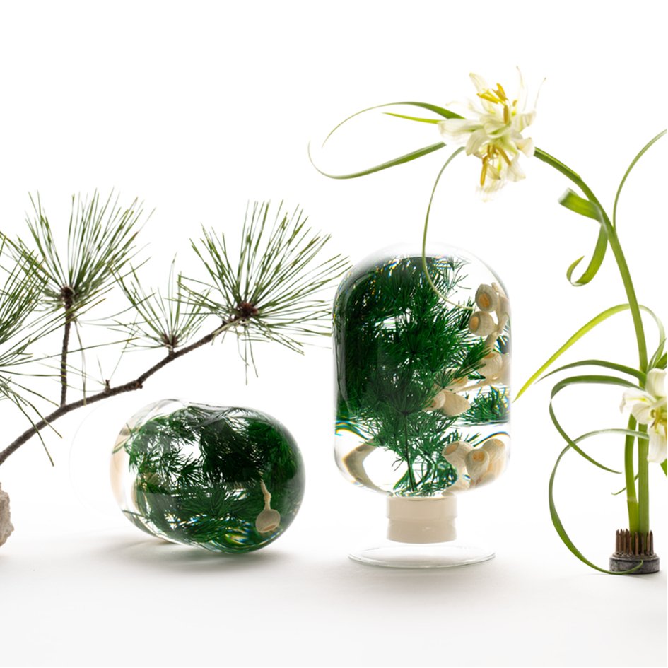 Dennenwoud Herbarium Presse-Papier - SuperMatique