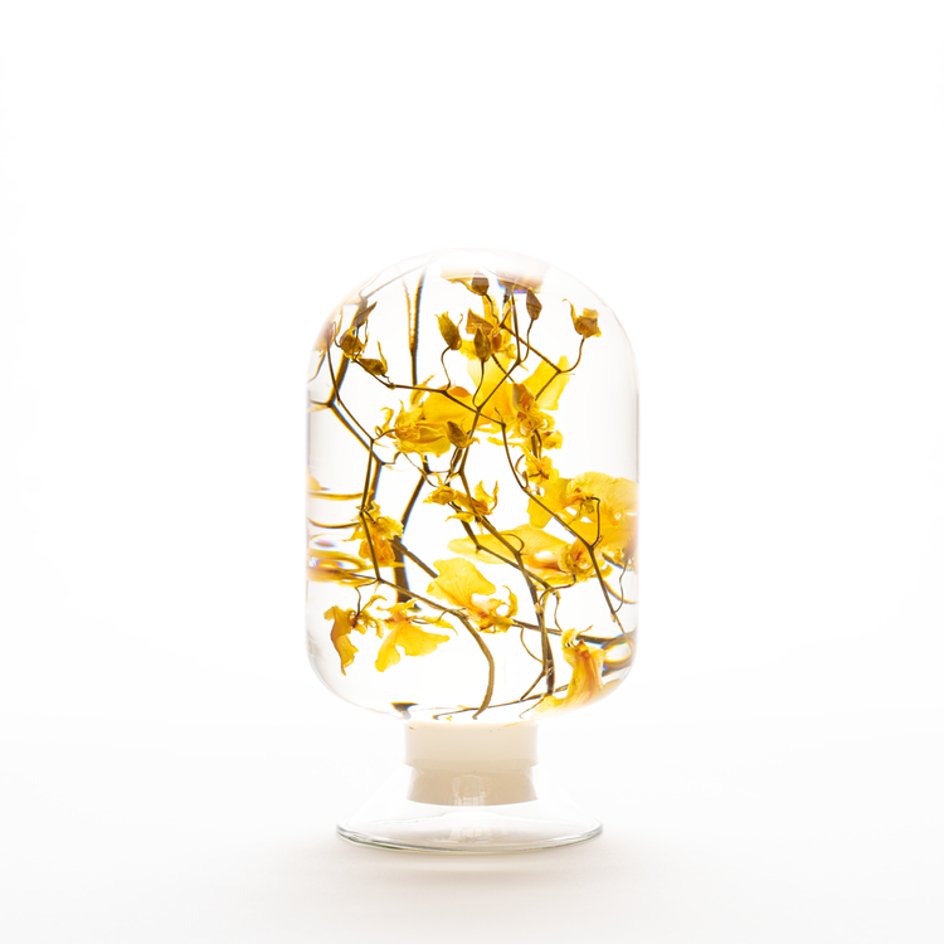 Gele Orchidee Herbarium Presse-Papier - SuperMatique