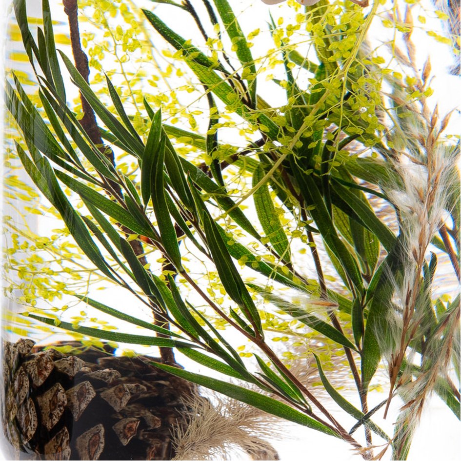 Groene Woud Herbarium Presse-Papier - SuperMatique