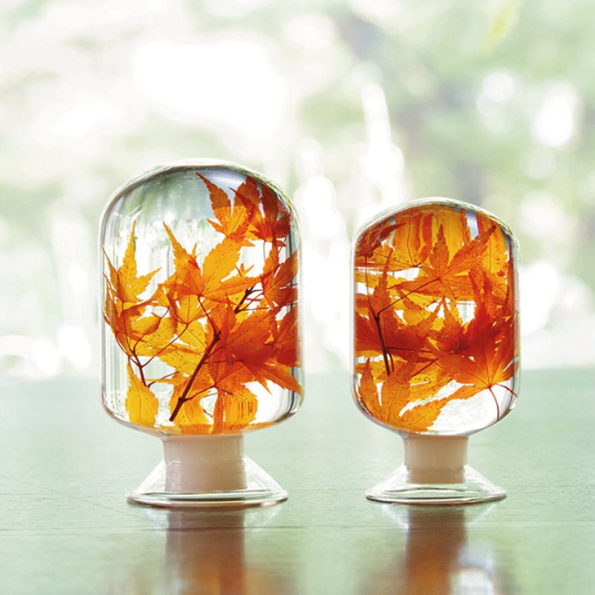 Maple Herbarium - SuperMatique