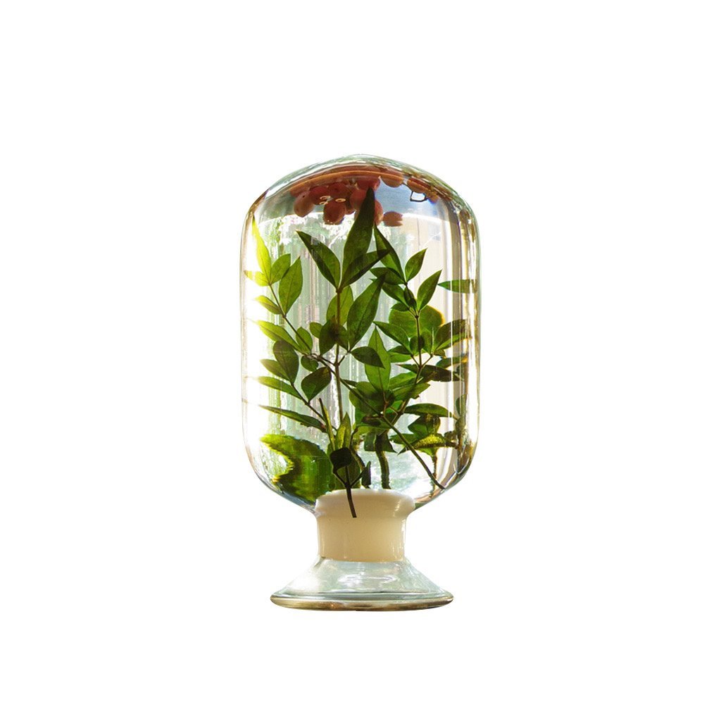 Summer Berry Herbarium - SuperMatique