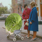 Ansichtkaart Collage 'Cute...and what's the baby's name?' - Toon Joosen - SuperMatique