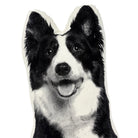 Border Collie Hond Sierkussen - Broderpress - SuperMatique