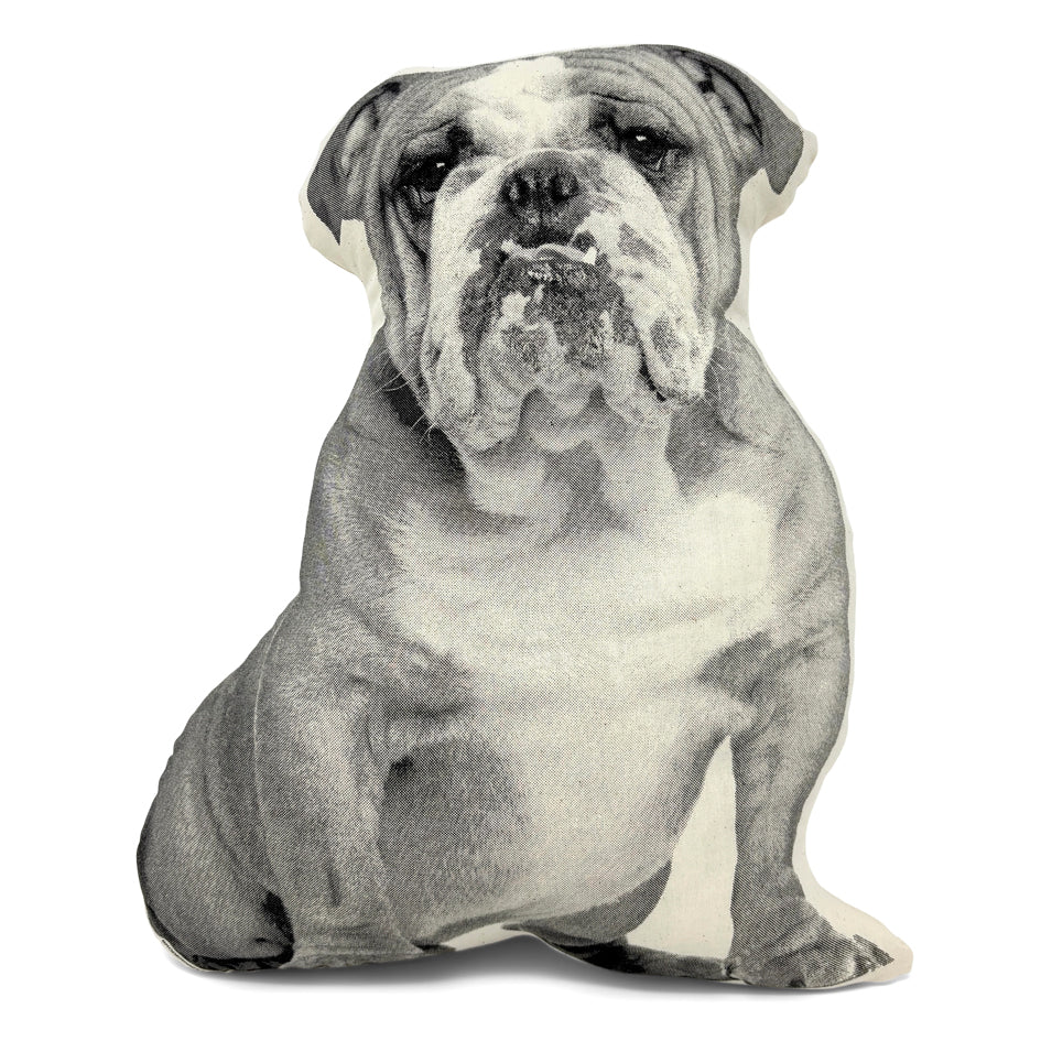 Bulldog Hond Sierkussen - Broderpress - SuperMatique