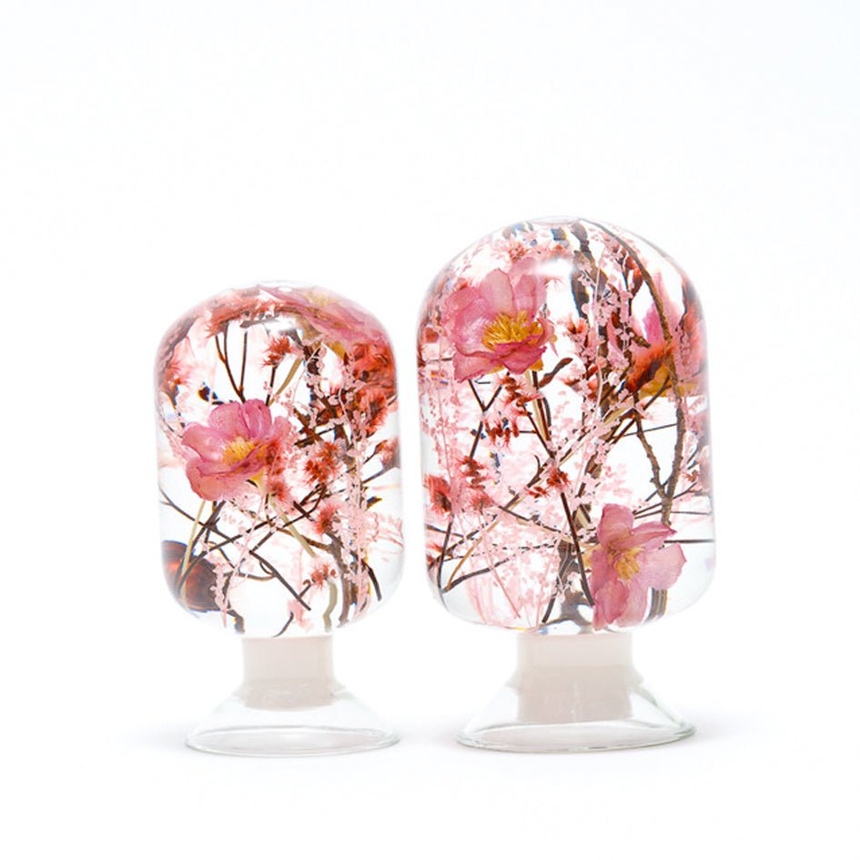 'Pieces Of Time' Herbarium / Presse - Papier 'Cherry Blossom' - Style Jieum - SuperMatique