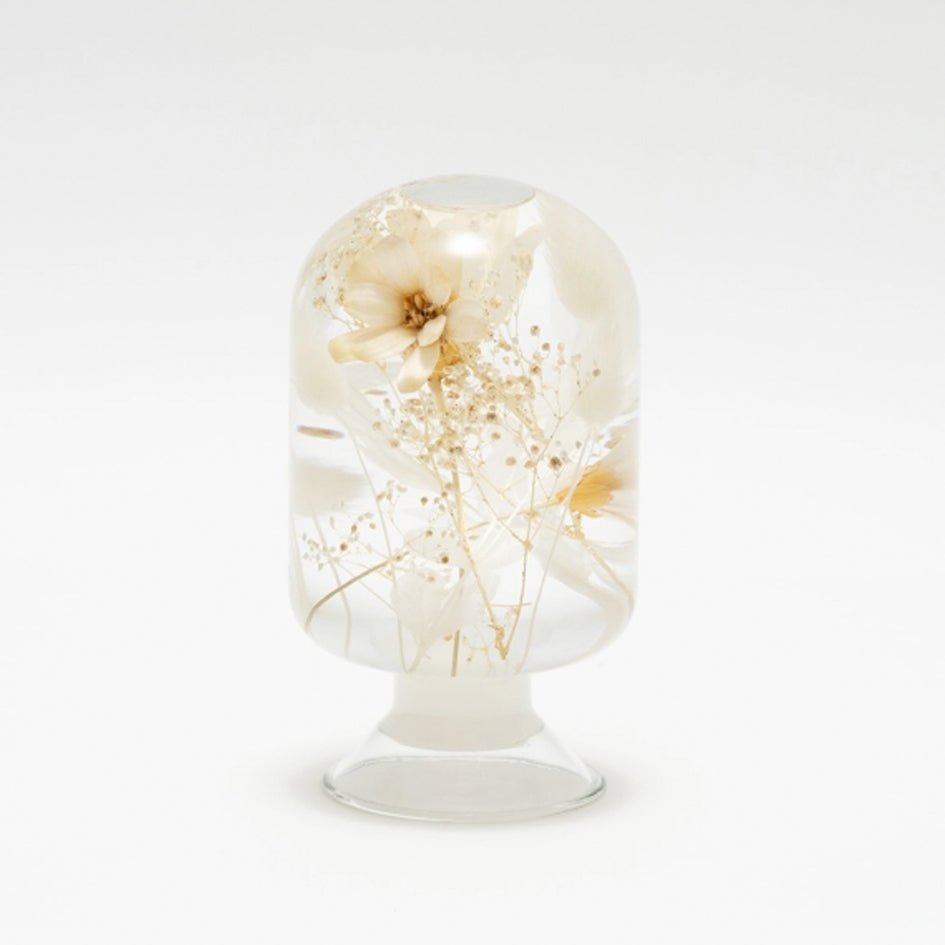 'Pieces Of Time' Herbarium / Presse - Papier 'Pure Daisy' - Style Jieum - SuperMatique