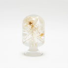 'Pieces Of Time' Herbarium / Presse - Papier 'Pure Daisy' - Style Jieum - SuperMatique