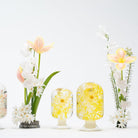 'Pieces Of Time' Herbarium / Presse - Papier 'Spring Blossom' - Style Jieum - SuperMatique