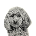 Poedel Hond Sierkussen - Broderpress - SuperMatique
