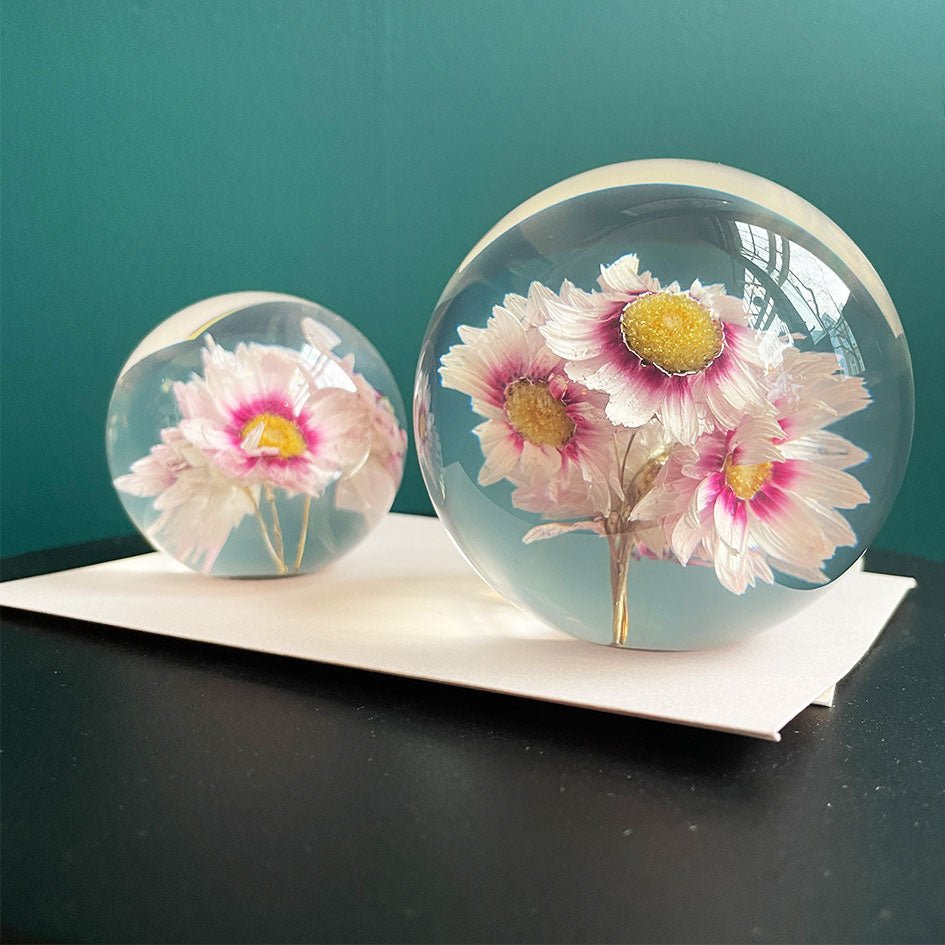 Rhodanthe Presse - papier - SuperMatique