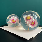 Rhodanthe Presse - papier - SuperMatique