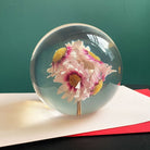 Rhodanthe Presse - papier - SuperMatique