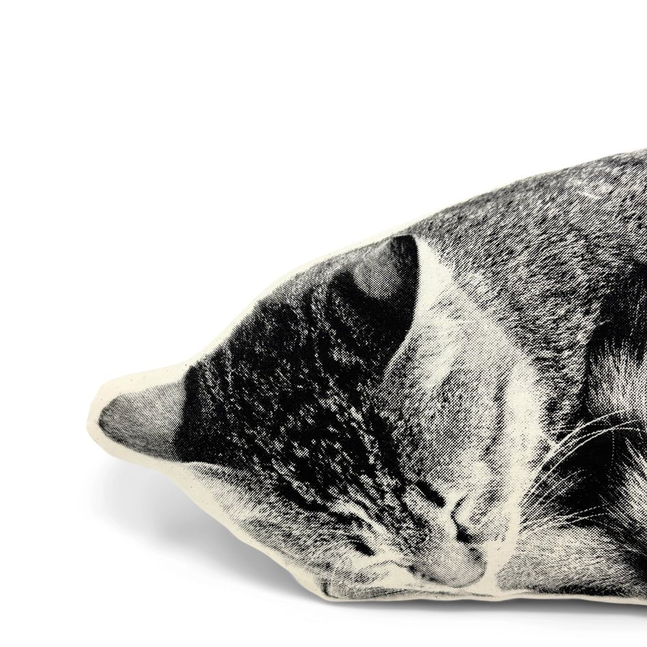 Slapende Cyperse Gestreepte Kat Sierkussen - Broderpress - SuperMatique