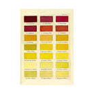 Wenskaart 'Colour Chart No:2' - Madame Treacle - SuperMatique
