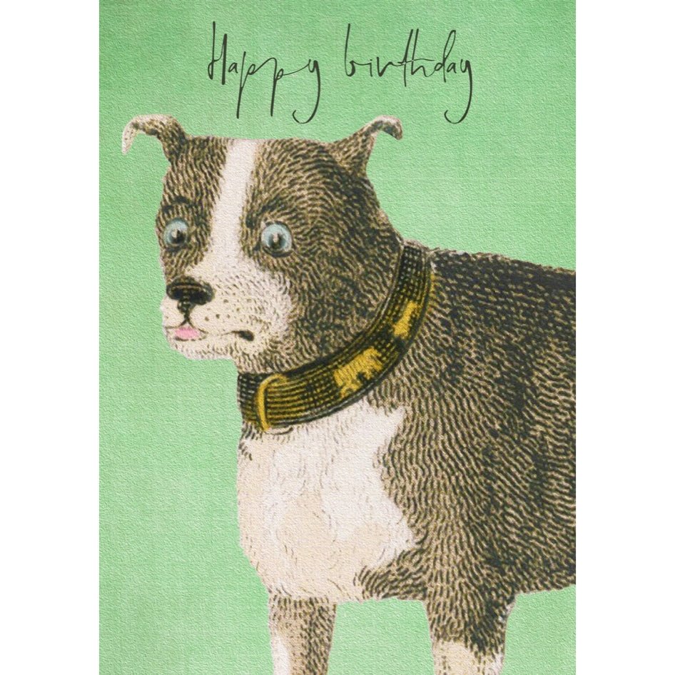 Wenskaart Woof Woof Happy Birthday - Madame Treacle - SuperMatique