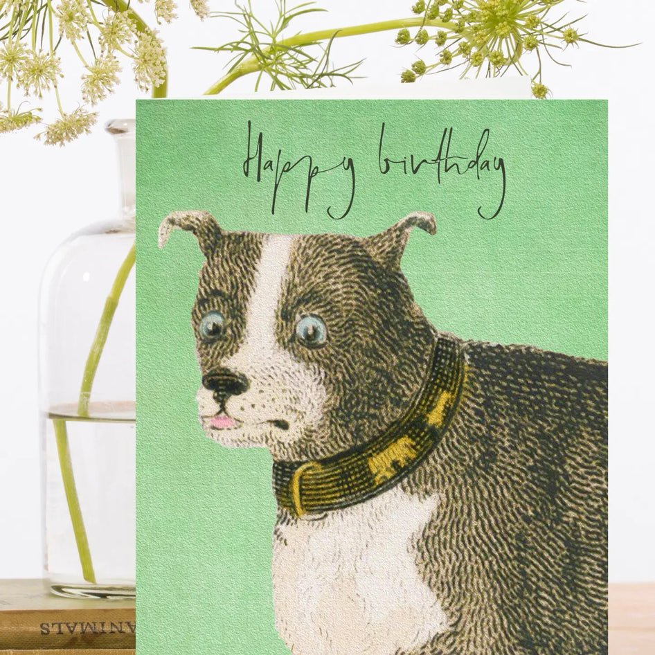 Wenskaart Woof Woof Happy Birthday - Madame Treacle - SuperMatique