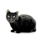 Zwarte Kat Sierkussen - Broderpress - SuperMatique
