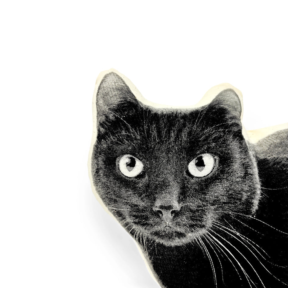 Zwarte Kat Sierkussen - Broderpress - SuperMatique