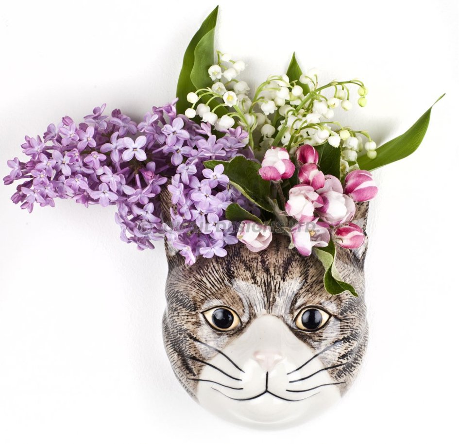 Bruin met wit Kat Millie Wandvaas Quail Ceramics - SuperMatique