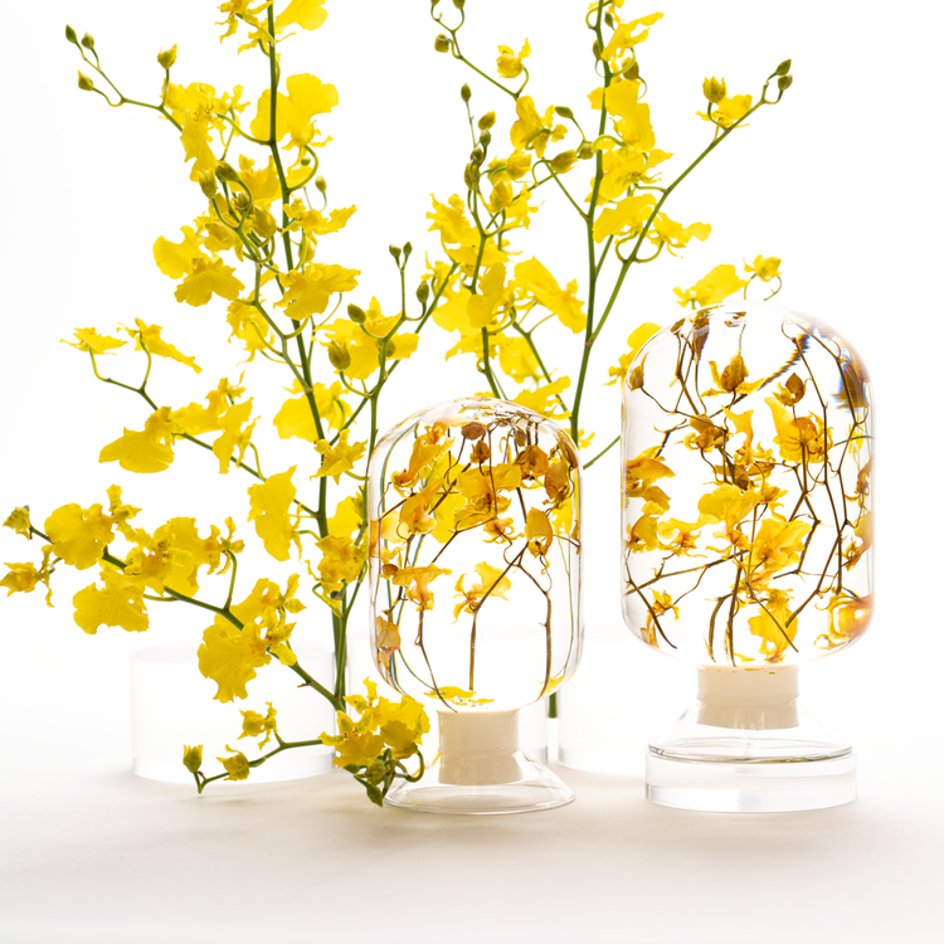 Gele Orchidee Herbarium Presse-Papier - SuperMatique