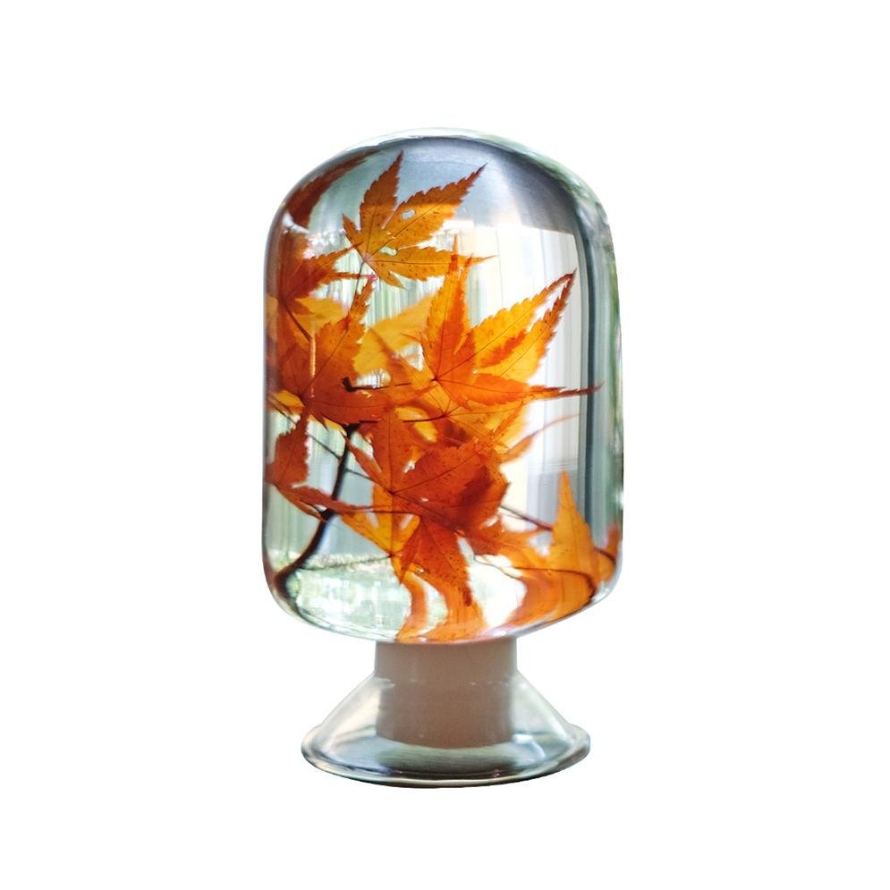 Maple Herbarium - SuperMatique