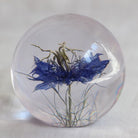 Nigella bloem Presse-papier - SuperMatique