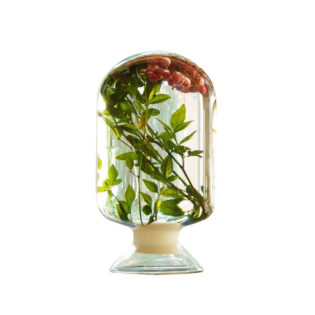 Summer Berry Herbarium - SuperMatique