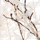 Witte Woud Herbarium Presse-Papier - SuperMatique