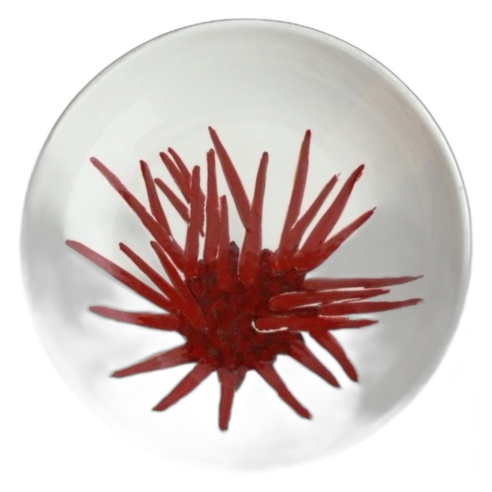 ZEE EGEL SCHAAL LARGE - NEMO COLLECTIE - SuperMatique
